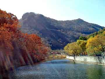 新澳天天开奖资料大全旅游团，黑帽seo程序